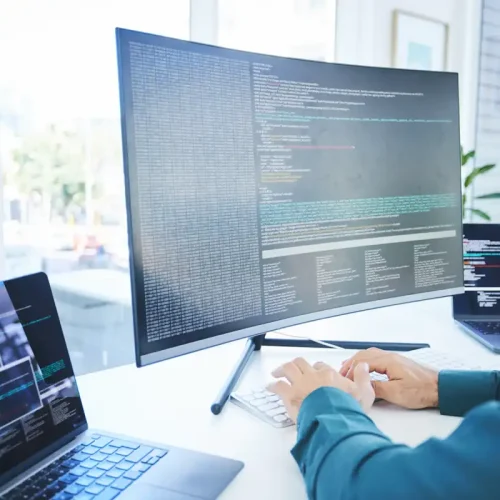 Un dévéloppeur web junior
